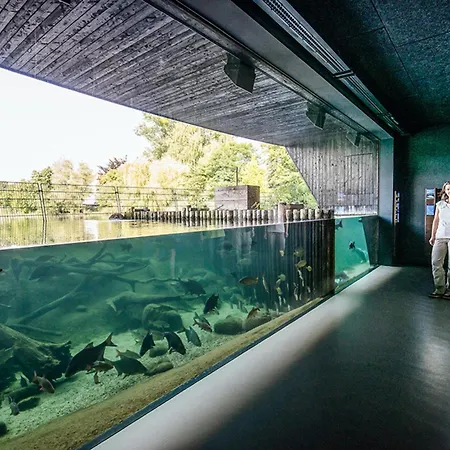Seepark Roebel, Typ 2-3 Personen Röbel